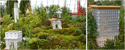 Golden Gate Express for Conservatory of Flowers